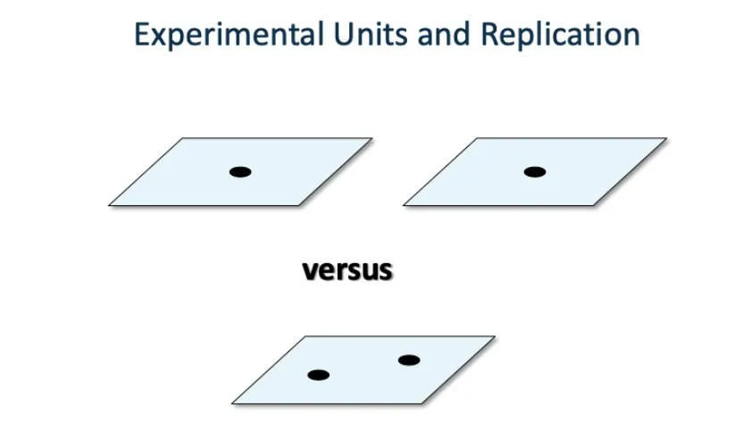 Experimental Units and Replication